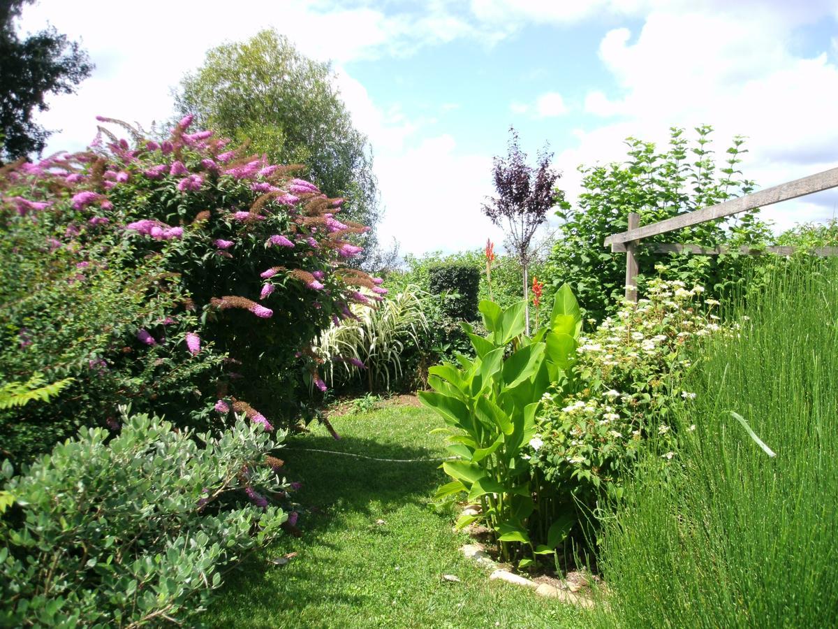 Le Bord De L'Eau Bed & Breakfast Sainte-Terre Exterior photo