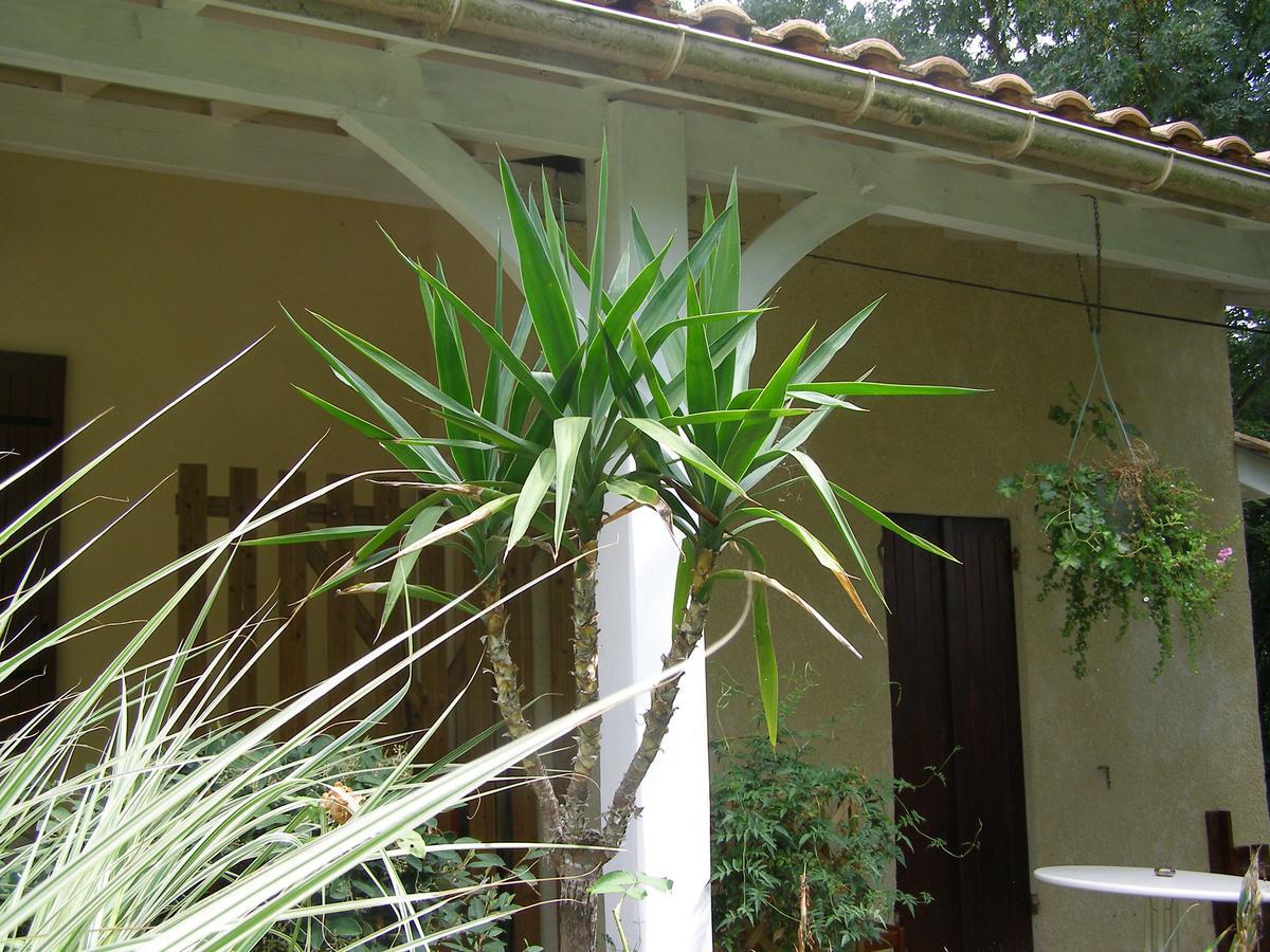 Le Bord De L'Eau Bed & Breakfast Sainte-Terre Exterior photo
